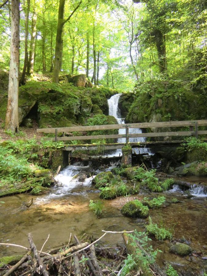 Waldgasthof Altersbach Waldkirch Exterior foto